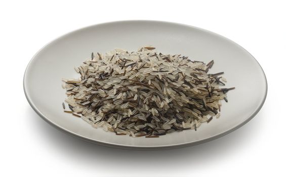 Mix of white and wild rice on the green plate