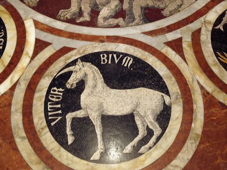 Siena - Duomo interior. One of the 56 magnificent etched and inlaid marble floor panels
