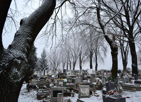 Cemetery in winter with trees, tombstones, flowers and wreaths.