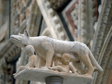 Siena - column with the she-wolf in front of the Duomo facade 