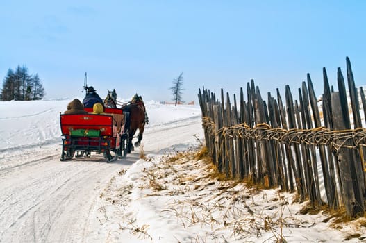 Horse sledge in action on snow in winter landscape.