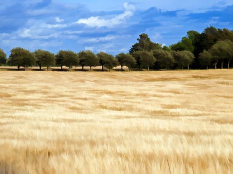 Beautiful wheat field before harvest country landscape digital art manipulation