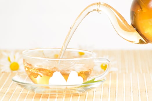 A teacup and a teapot with herbal chamomile tea