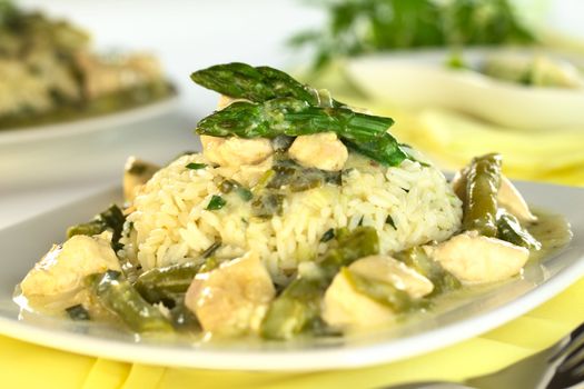 Green asparagus and chicken fricassee with rice (Selective Focus, Focus on the first asparagus tip on the rice)