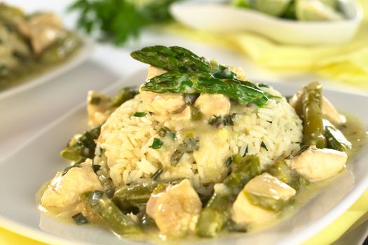 Green asparagus and chicken fricassee with rice (Selective Focus, Focus on the first asparagus tip on the rice)