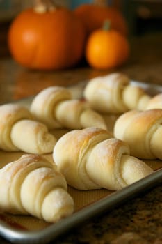 A metal tray of fresh baked holiday rolls with pumpkins in the background for a Thanksgiving type setting