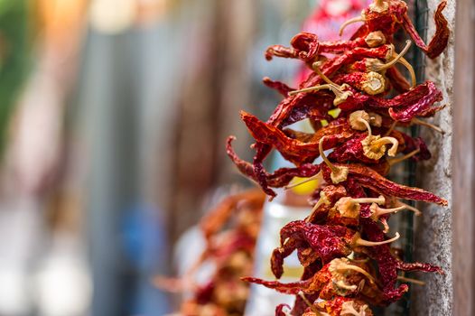 Dried Red Hot Chili Peppers hanging from the wall of old building in Antalya, Turkey. Very small depth of field, copy space