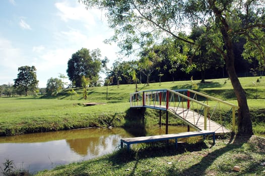 garden with a pond and bridge