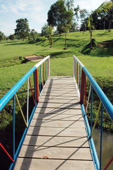 bridge in a park