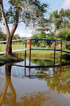 garden with a pond and bridge