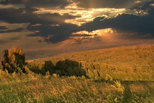 In a wood in the evening after a thunder-storm