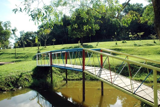 bridge in a park