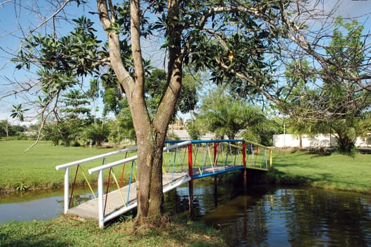 garden with a pond and bridge