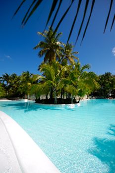 Hotel resort with a very nice swimming pool