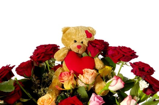 Bouquet of rose flowers isolated on white background. A teddy bear is sitting ontop of the flowers.