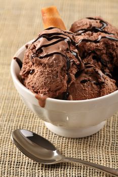 Photo of a bowl of melting chocolate ice cream with chocolate drizzle.
