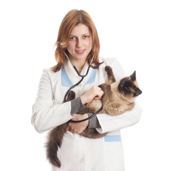 female veterinary doctor cat listens through a stethoscope
