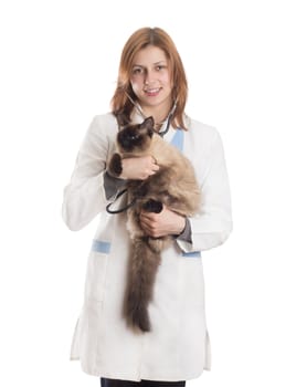 friendly female veterinarian smiling and examines the Siamese cat