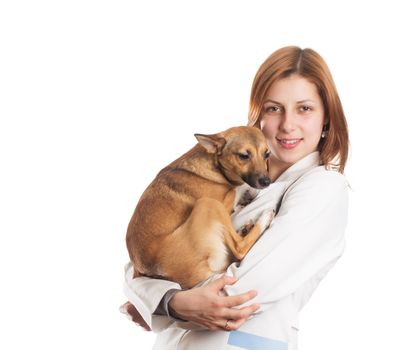 the vet female with a dog on a white background isolated