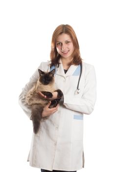 Girl in a medical uniform with a Siamese cat on a white background isolated