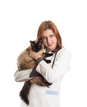 female veterinary in medical uniform holding a Siamese cat on a white background isolated
