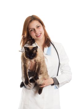 Siamese cat and the vet on a white background isolated