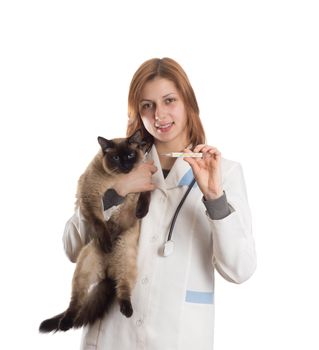 veterinarian with a cat and a thermometer on a white background isolated