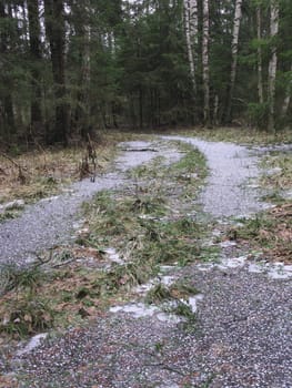 Winter forest earth road with frozen water in rut