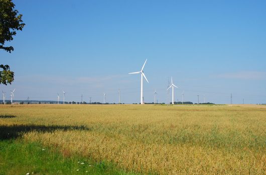 Wind turbines farm