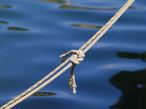 knotted rope and blue water background