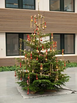 Decorated traditional Christmas tree with color ornaments and candles