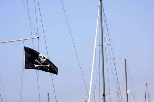 Pirate flag blowing in the wind
