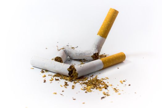 broken and thrown out cigarettes photographed on a white background