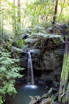 Semperveren Falls at Big Basin Redwoods Park, California
