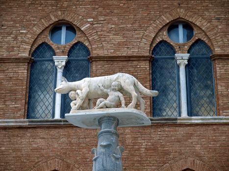 Siena - column with the she-wolf in front of the Duomo facade 