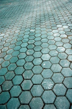 honeycomb pattern of the green paving blocks