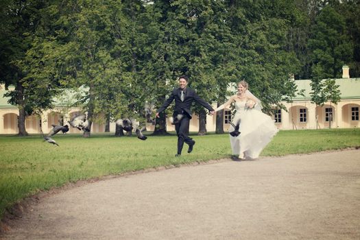 wedding in the territory of a palace of Menshikov