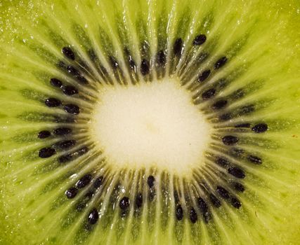 closeup green kiwi fruit seeds