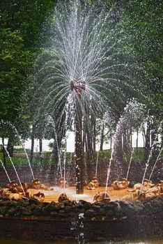 Fountain "The Sun" In Petrodvorets (Peterhof), St Petersburg, Russia.