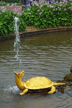 Fountain "The Turtles" In Petrodvorets (Peterhof), St Petersburg, Russia.