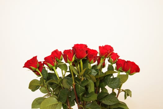 bouquet of red roses in a vase on white background