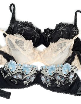 three bra isolated on white background