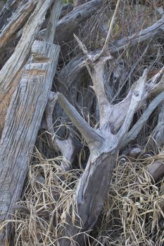 Pile of firewood against old wooden fence