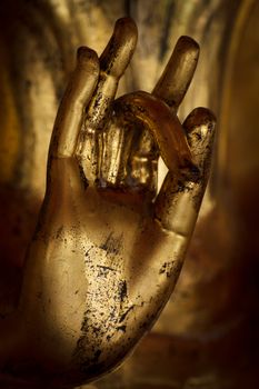 Hand of Buddha is ancient and beautiful.