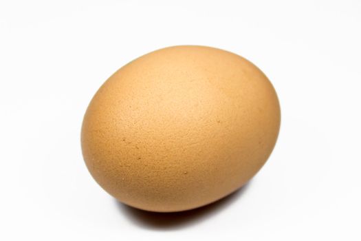 A single egg on a white background