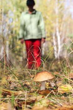 girl collect brown cap boletus on forest
