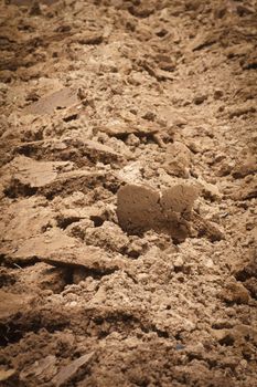Brown land suitable for cultivation and stay