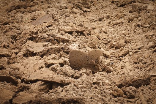 Brown land suitable for cultivation and stay