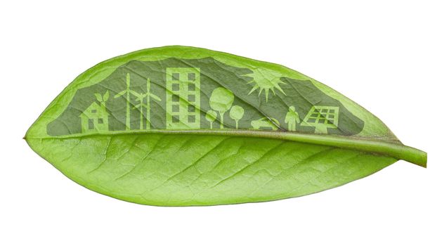 Green city concept, cut the leaves of plants, isolated over white
