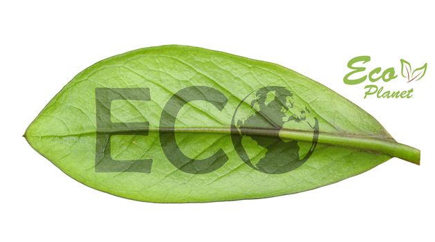 Green earth concept, cut the leaves of plants, isolated over white
